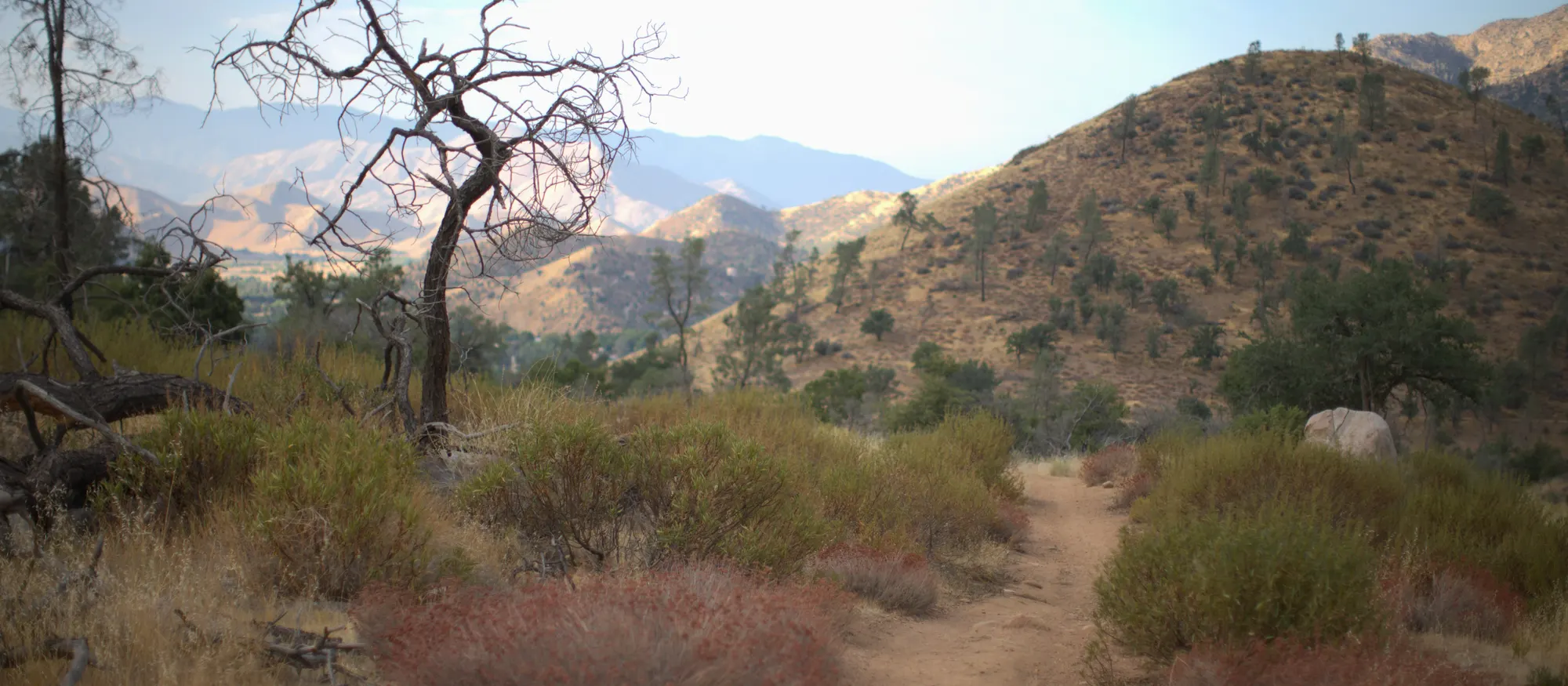 New Age of AI